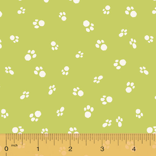 CATNIP 50825-4  $9.00 / yard