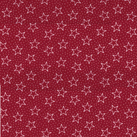 Galaxy Patriotic 108" Quilt Backing @ $14.00 / Yard