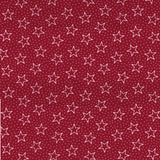 Galaxy Patriotic 108" Quilt Backing @ $14.00 / Yard