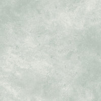 Suede SUE6302-LT $9.00 / yard