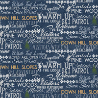 Winter Playground Y2767-89 @ $9.00 / yard